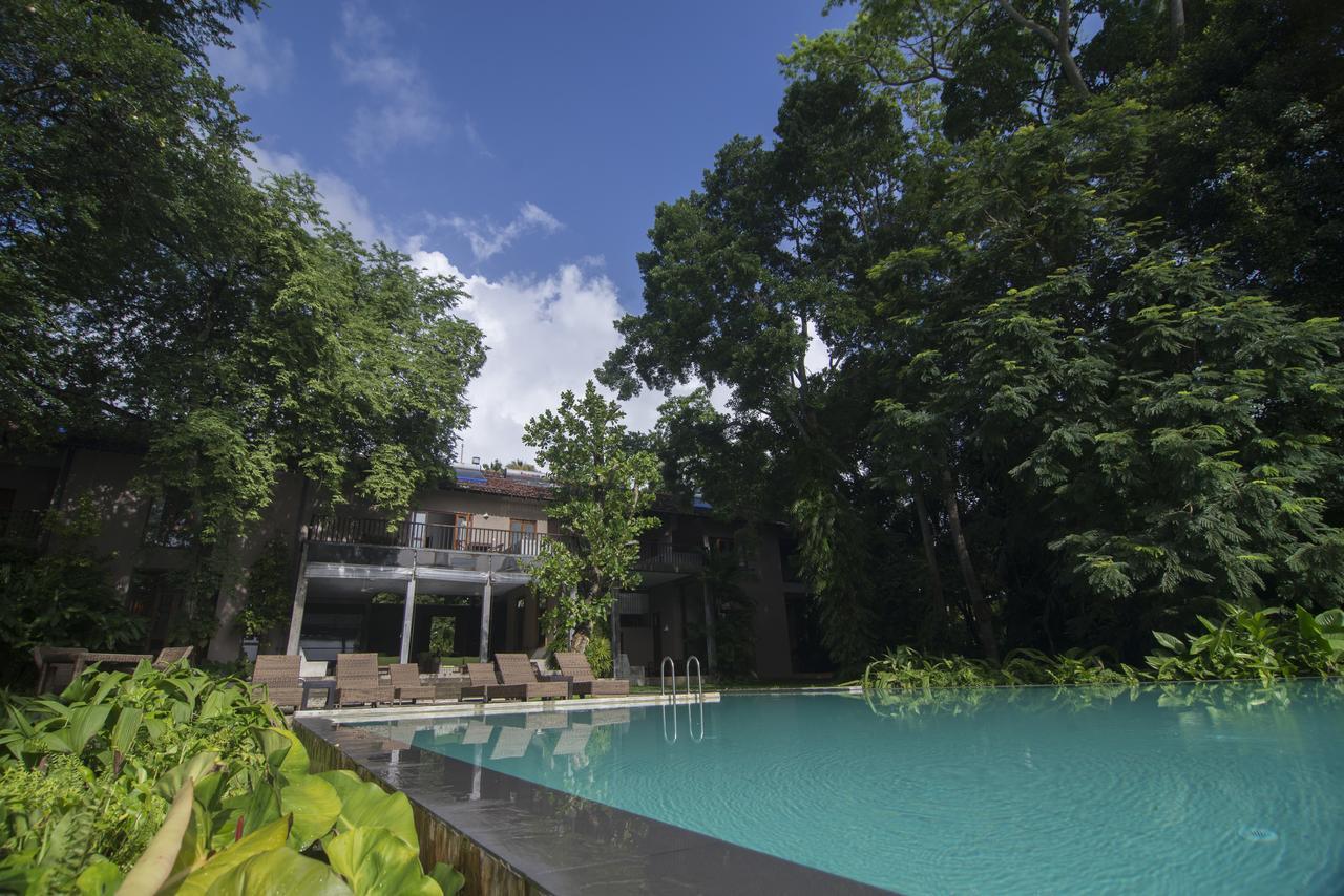 Roman Lake Ayurveda Boutique Resort - Level 1 Certified Ahungalla Eksteriør billede